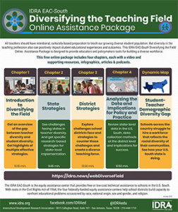 Flier for Diversifying The Teaching Field Package