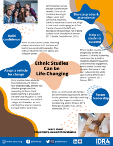 ethnic studies infographic