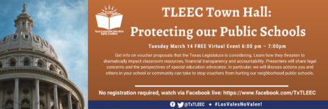 2023 TLEEC Town Hall banner