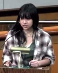 Zaraida Bermudez testifying
